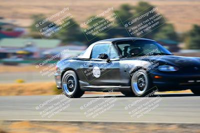 media/Nov-16-2024-Extreme Speed (Sat) [[6587d07cc4]]/Gold Group/Session 1 (Turn 2)/
